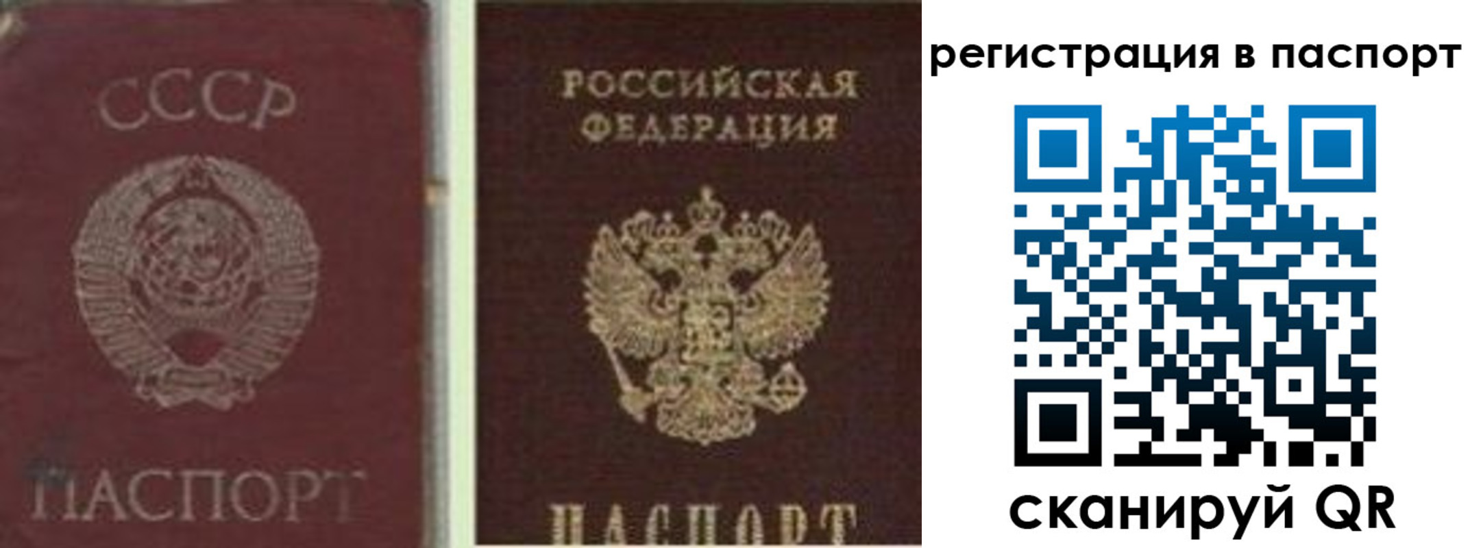 прописка для работы в Сертолово